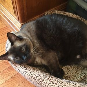 Meet your Posher, Jared